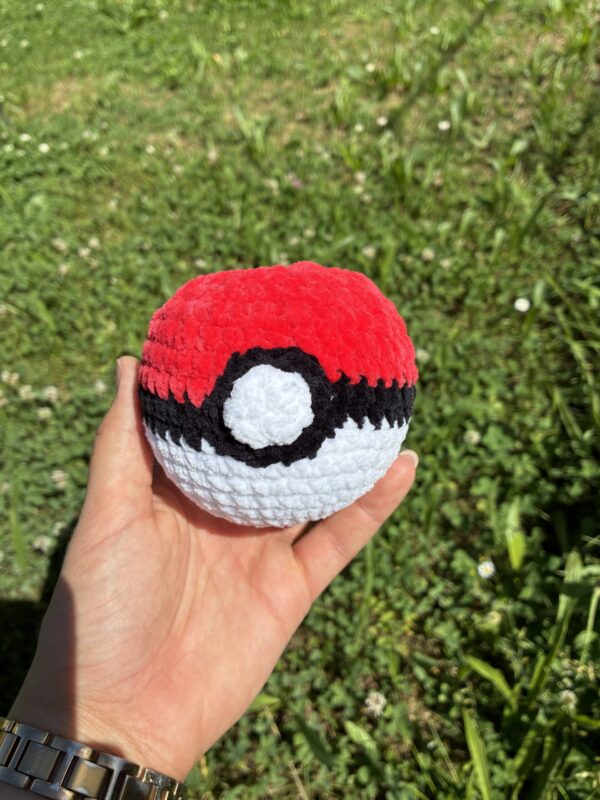 IMG_4987 PokéBall