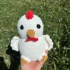 IMG_4990 Poules