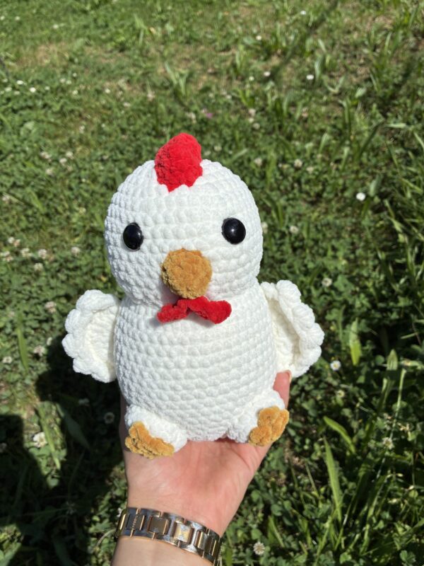 IMG_4990 Poules