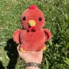 IMG_4991 Poules