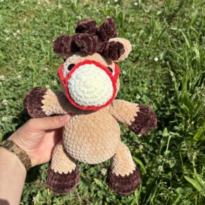 Poney