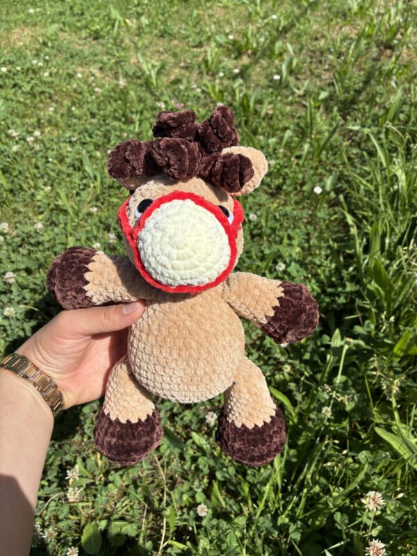 IMG_4992 Poney
