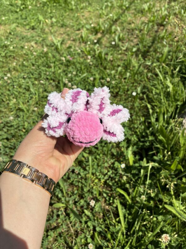 Axolotl