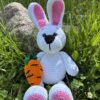 IMG_5011 Lapin avec carotte
