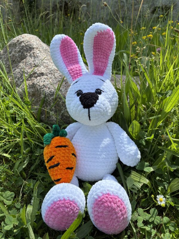 IMG_5011 Lapin avec carotte