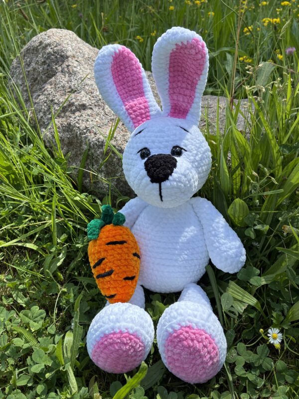 IMG_5012 Lapin avec carotte
