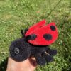 Coccinelle