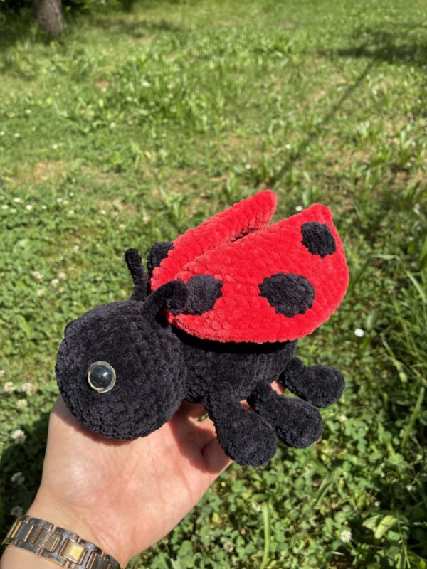Coccinelle