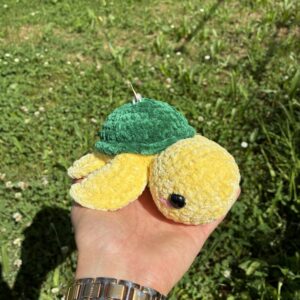 Tortue