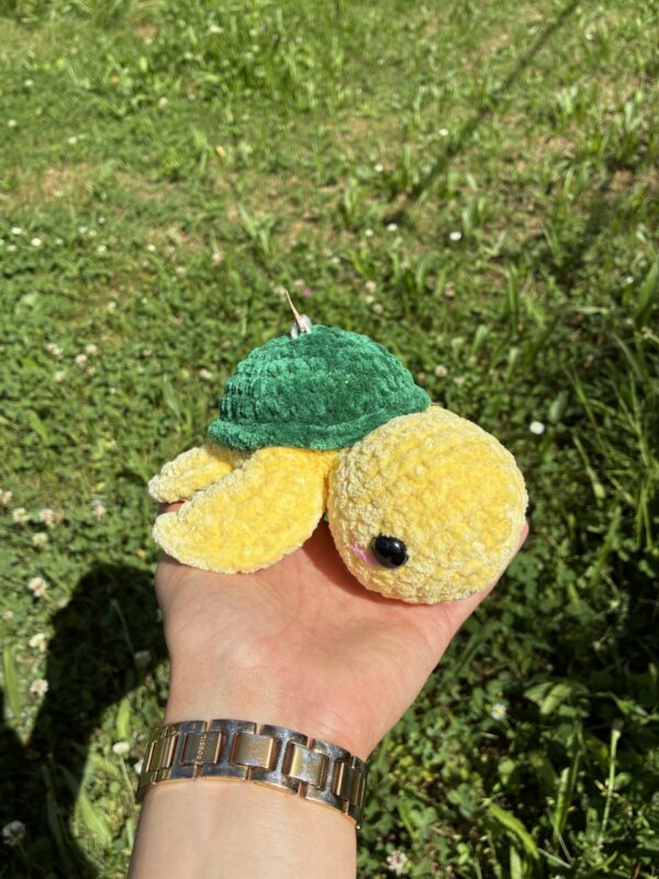 IMG_5019 Tortue