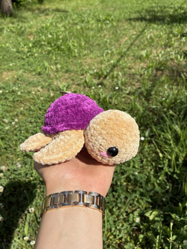 IMG_5025 Tortue