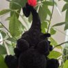 IMG_5542 Krokmou